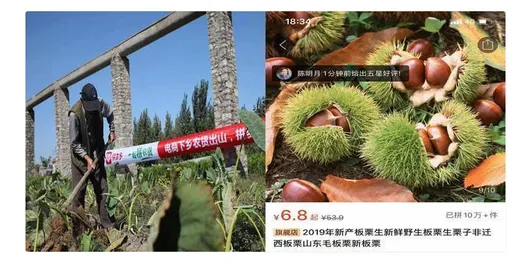1573544240174392.webp 图片.webp