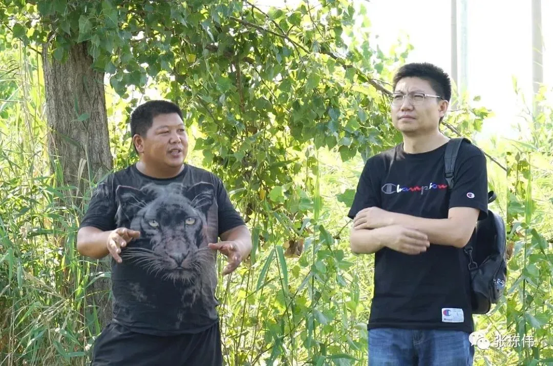 微信图片_20191125162436.webp
