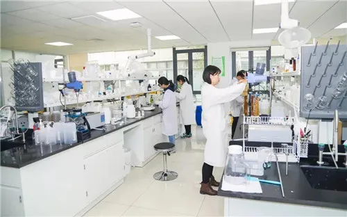 两载风华,深耕不辍——绿叶上海科研中心成立两周年