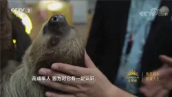 无限极独家冠名,《消费主张》带你领略网红打卡新体验