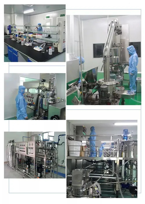 喜讯!绿之韵集团再次获评湖南省“守合同重信用”企业