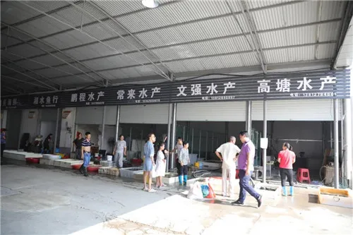品种丰富、环境优良,隆力奇农贸市场开业