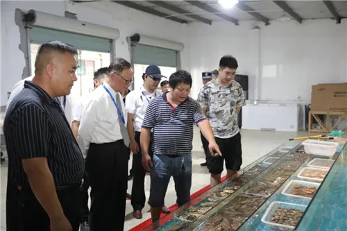 品种丰富、环境优良,隆力奇农贸市场开业
