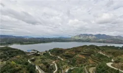 金秋九月板栗飘香 和治友德公益助农走进河北迁西