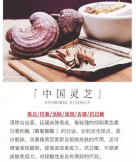 /uploads/image/2021/01/19/微信图片_20210119175919.webp 微信图片_20210119175919.webp