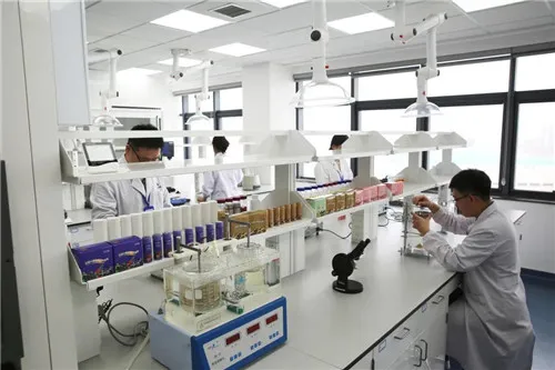 康婷:醒年盹再出发,2021开工大吉