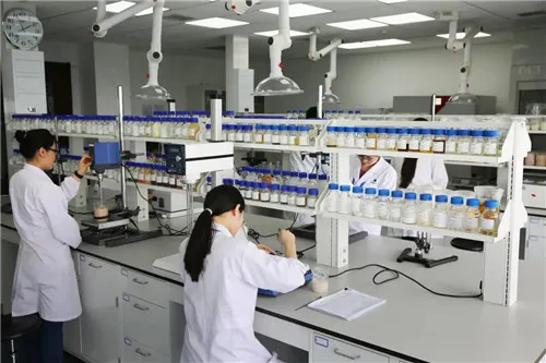 康婷:醒年盹再出发,2021开工大吉