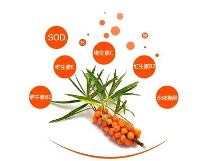 /uploads/image/2021/11/17/微信截图_20211117104404.webp 微信截图_20211117104404.webp