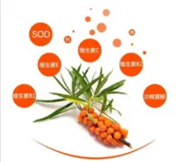 /uploads/image/2021/12/03/微信截图_20211203122416.webp 微信截图_20211203122416.webp