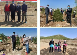 1651028645(1).webp