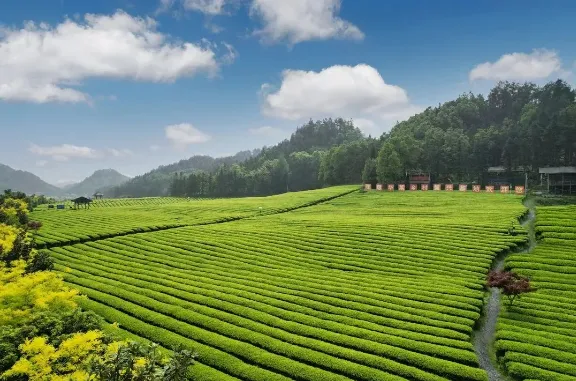 1725241368627 1725241368627