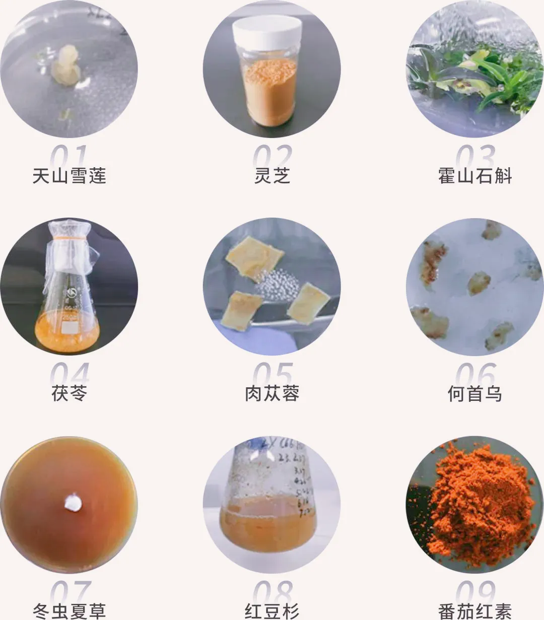 640(1)_副本 640(1)_副本
