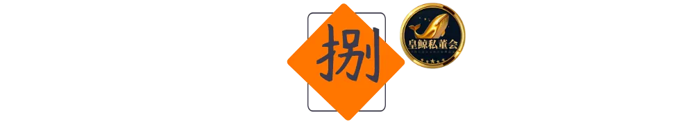 皇鲸数标8 皇鲸数标8