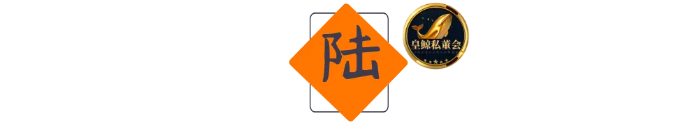 皇鲸数标6 皇鲸数标6