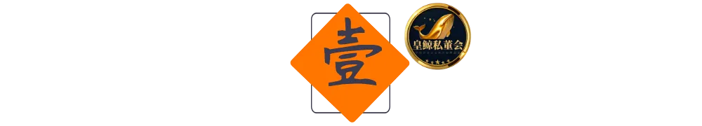 皇鲸数标1 皇鲸数标1